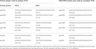 Fusion primer driven racket PCR: A novel tool for genome walking